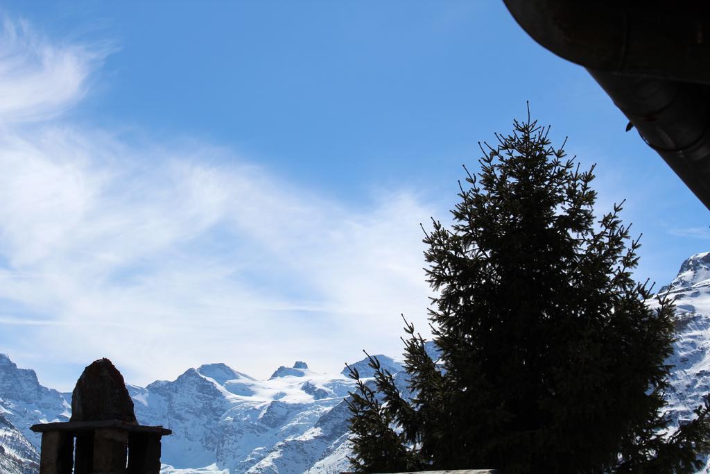 Vacanze Nel Parco Nazionale Del Gp Appartement Cogne Buitenkant foto