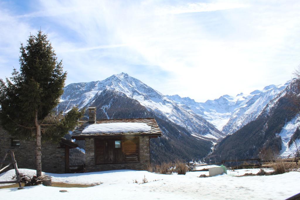 Vacanze Nel Parco Nazionale Del Gp Appartement Cogne Buitenkant foto